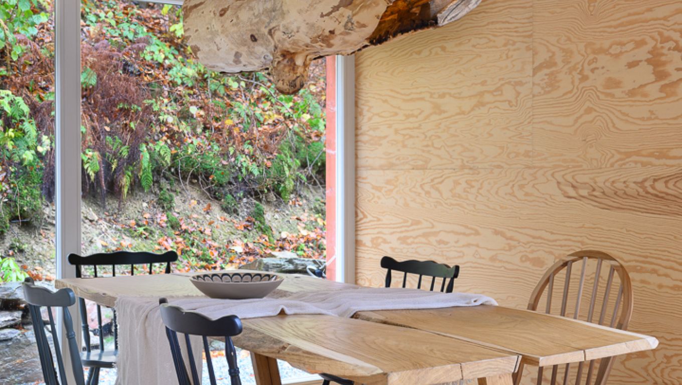 4 Strony Lasu - Gołaczów 23 B, 57-343 Gołaczów