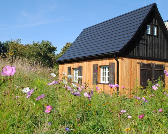 Dom Taszów - Lou-Krówka